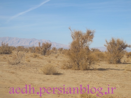 تاغستان_7